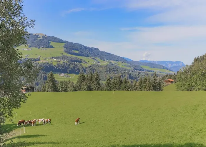 Haus Fabian * ホップフガルテン・イム・ブリクセンタール